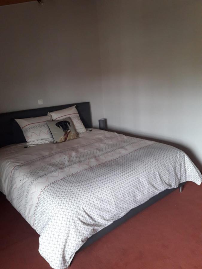 Bed and Breakfast La ferme du Puits carré Lamasquere Esterno foto